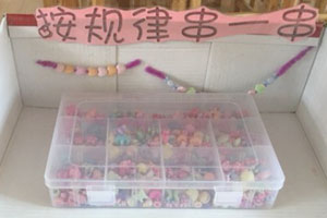 小班益智区自制玩教具图片11张