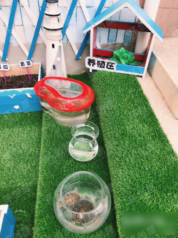 幼儿园海洋风自然角布置图片