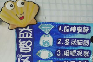 幼儿园环创主题墙地中海风格图片9张