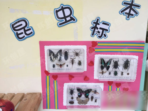 幼儿园自然角布置图片