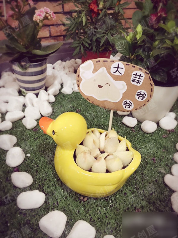 幼儿园植物角环境布置图片