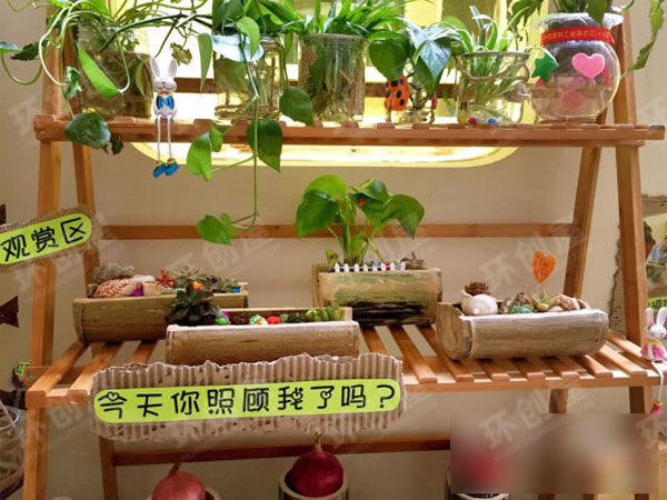 幼儿园小班自然角布置图片
