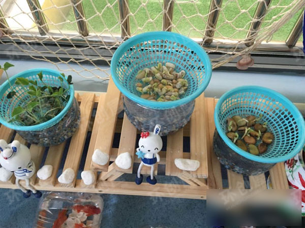 小班自然角海洋风环境布置图片