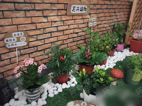 幼儿园植物角环境布置图片