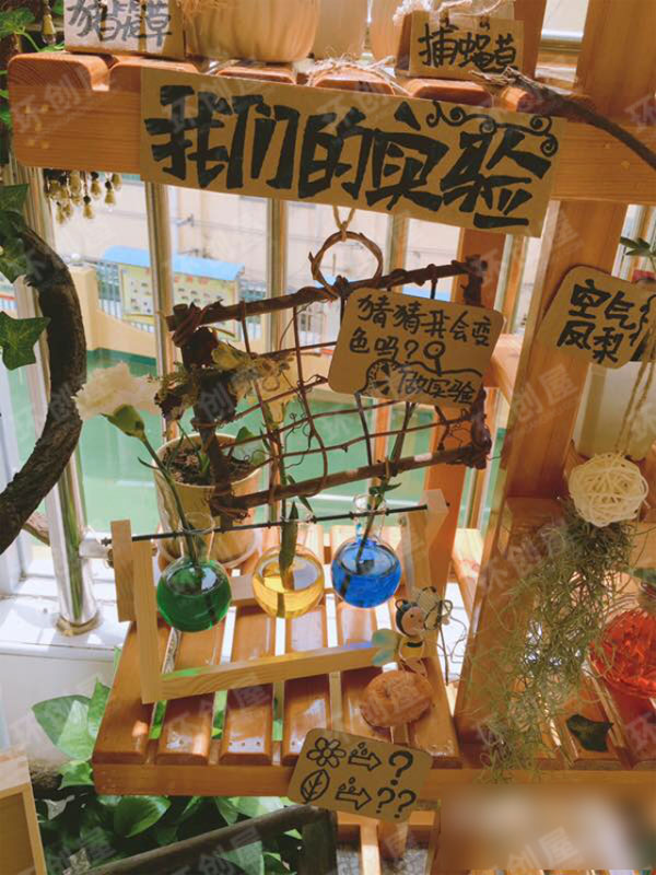 中班植物区角环创布置图片