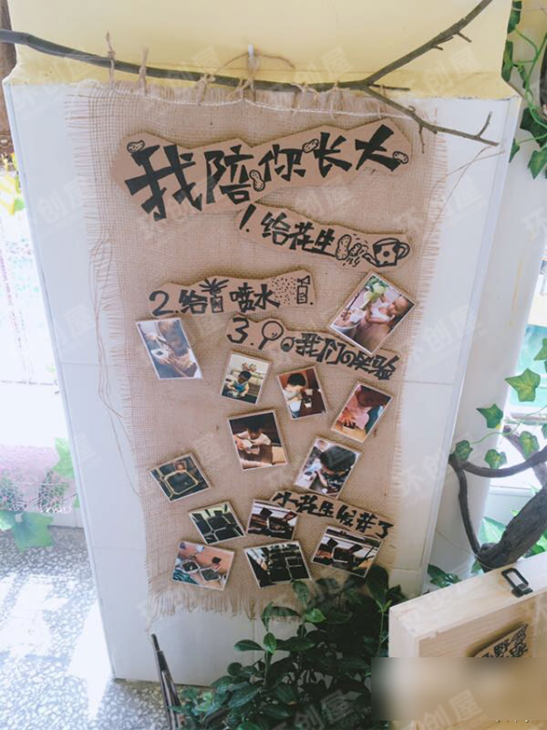 中班植物区角环创布置图片