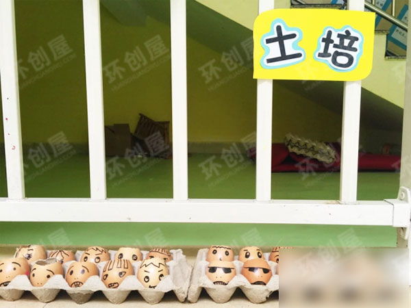 幼儿园自然角布置图片