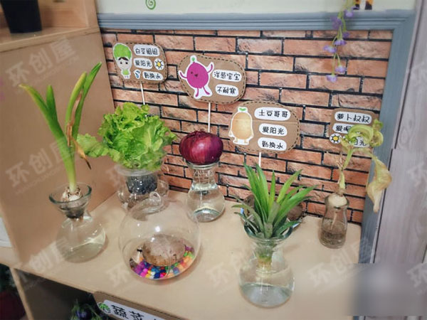 幼儿园植物角环境布置图片