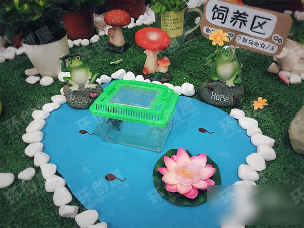 幼儿园植物角环境布置图片
