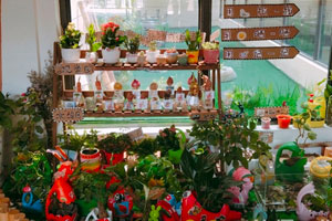 幼儿园植物角环境布置图片9张