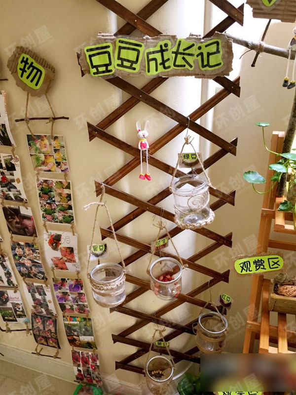 幼儿园小班自然角布置图片