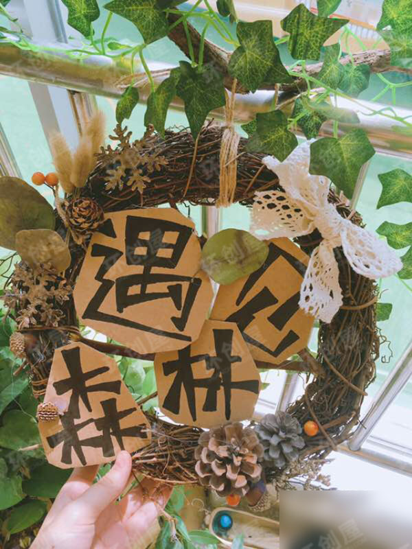 中班植物区角环创布置图片