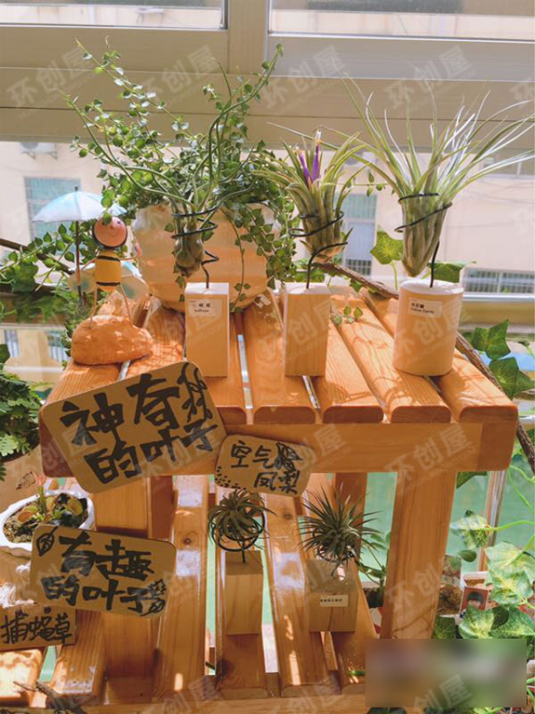 中班植物区角环创布置图片