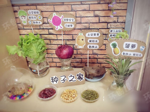 幼儿园植物角环境布置图片
