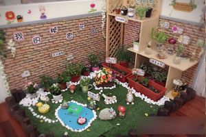 幼儿园植物角环境布置图片8张
