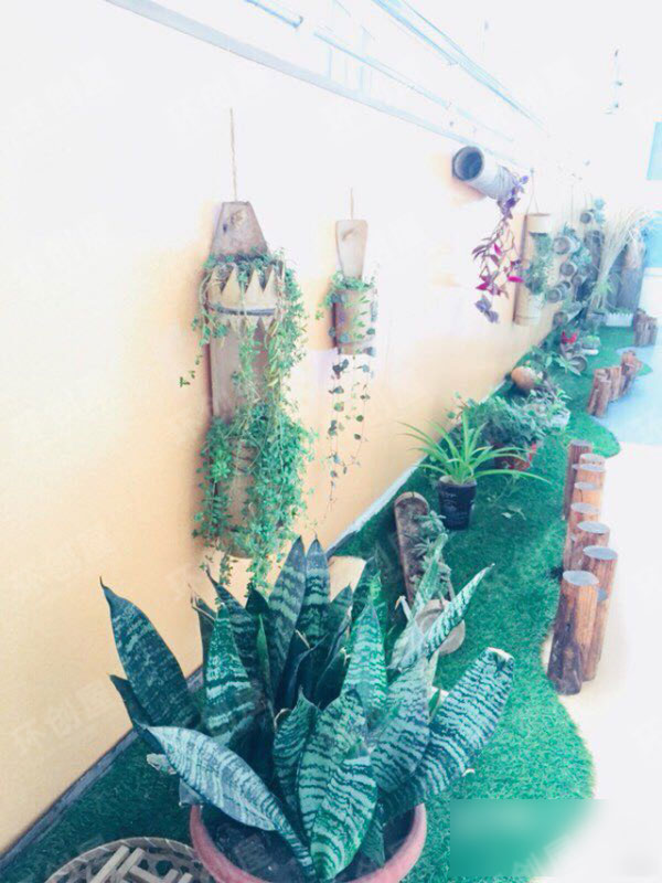 幼儿园户外植物角环境布置图片