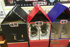 大班科探区植物角实验图片3张