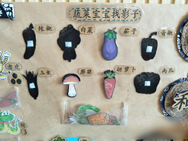 幼儿园小班蔬菜主题墙环创布置图片