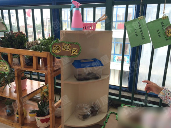 幼儿园植物区角绿野仙踪环创图片