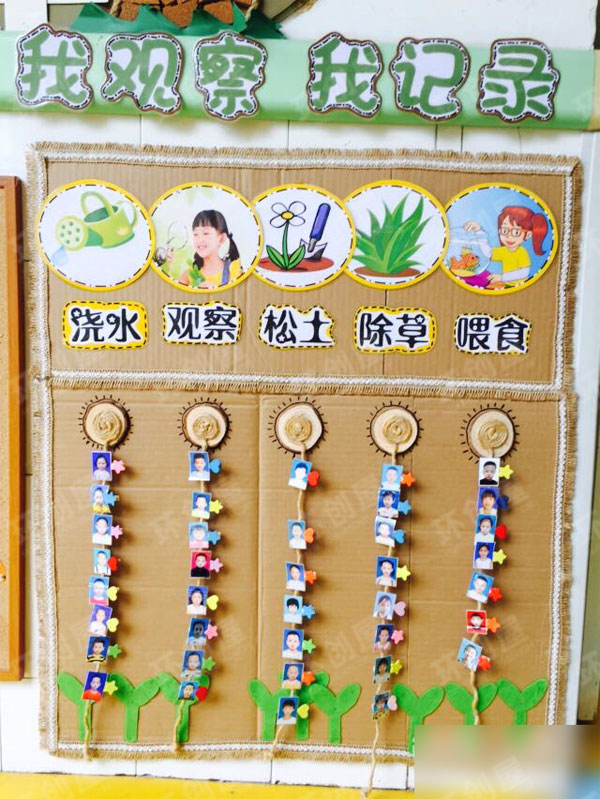 中班森系自然角观察记录图片