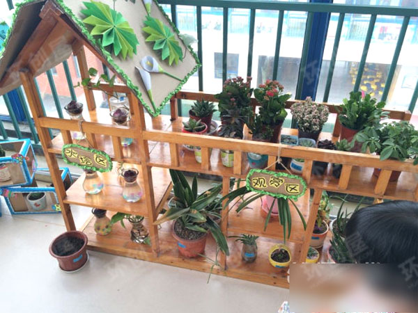 幼儿园植物区角绿野仙踪环创图片