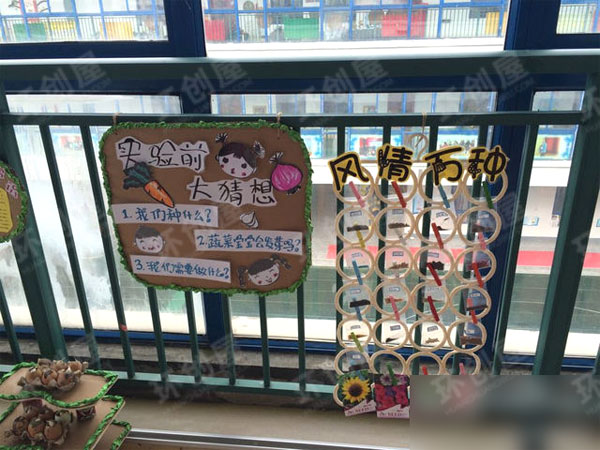 幼儿园植物区角绿野仙踪环创图片