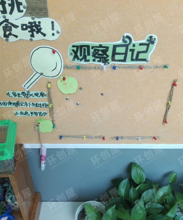 幼儿园区角自然角布置图片