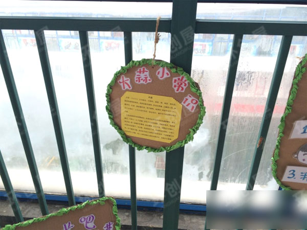 幼儿园植物区角绿野仙踪环创图片