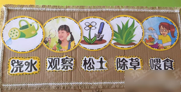 中班森系自然角观察记录图片