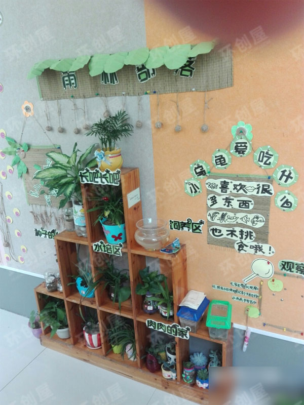 幼儿园区角自然角布置图片