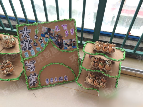 幼儿园植物区角绿野仙踪环创图片