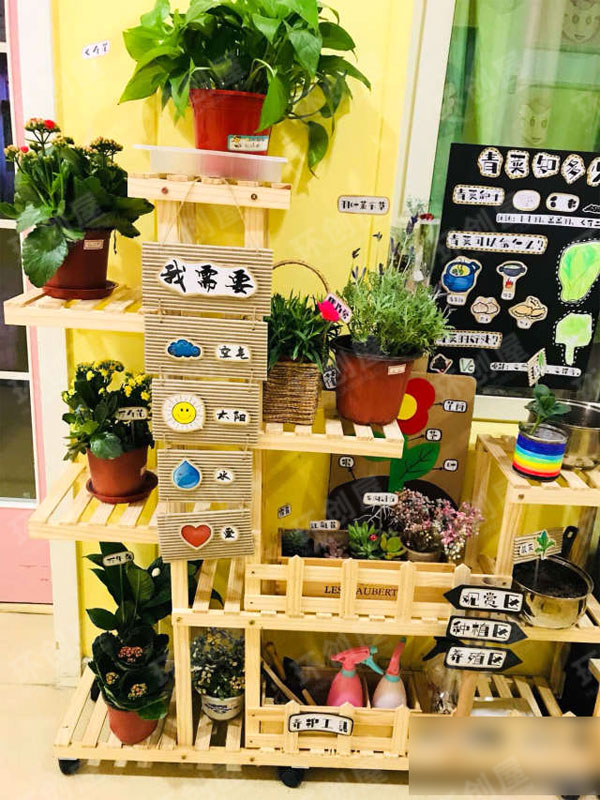 幼儿园区角春天自然角布置图片