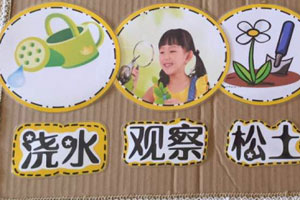 中班森系自然角观察记录图片4张