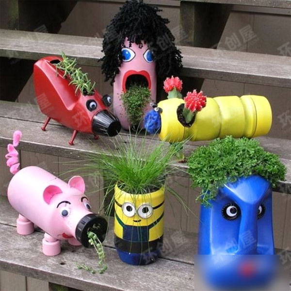 幼儿园植物角盆状种植图片