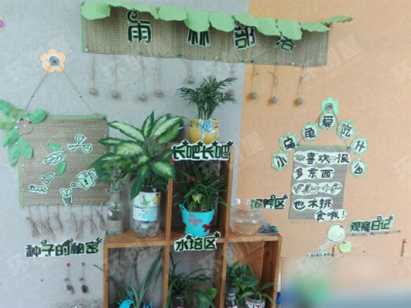 幼儿园区角自然角布置图片