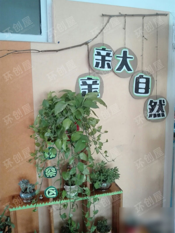 幼儿园区角自然角布置图片