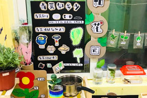 幼儿园区角春天自然角布置图片5张