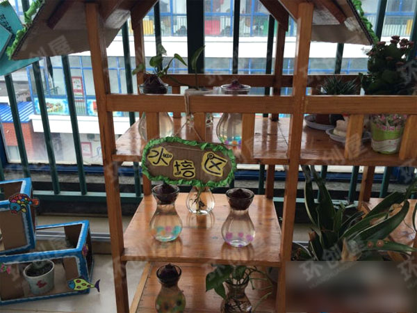 幼儿园植物区角绿野仙踪环创图片