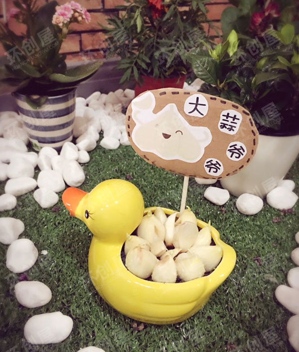 幼儿园植物角我的秘密花园图片