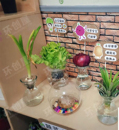幼儿园植物角我的秘密花园图片