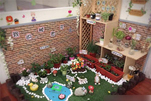 幼儿园植物角我的秘密花园图片8张