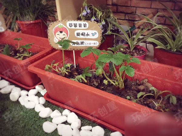幼儿园植物角我的秘密花园图片
