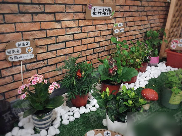 幼儿园植物角我的秘密花园图片