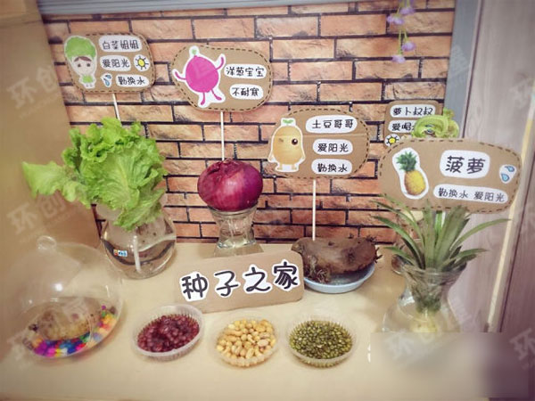 幼儿园植物角我的秘密花园图片