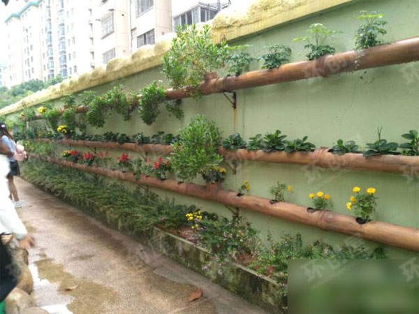 幼儿园户外种植园图片