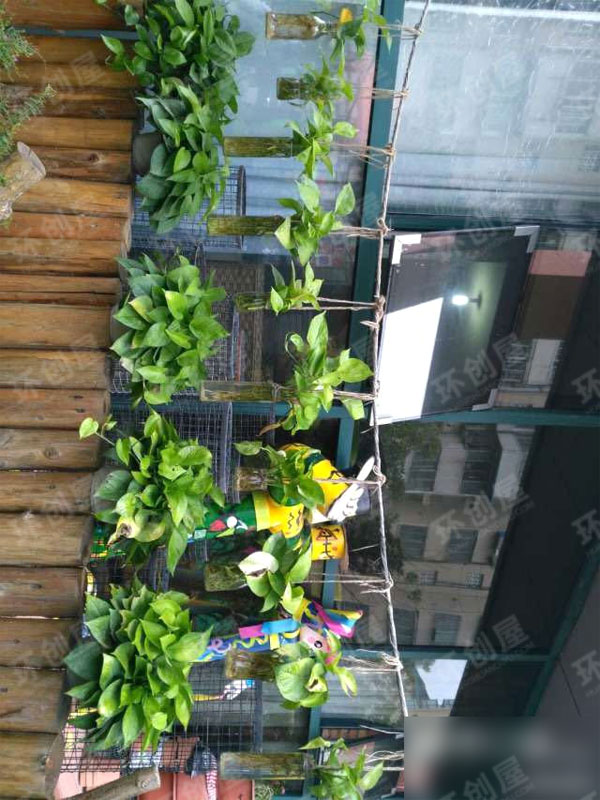 幼儿园户外种植园图片
