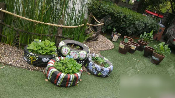幼儿园轮胎植物秀图片