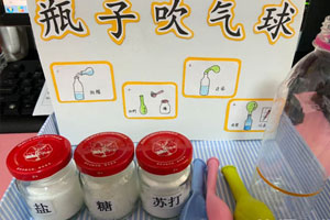 幼儿园科学区自制玩具图片2张