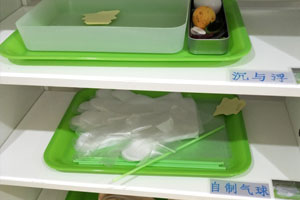 幼儿园科学探索区图片9张
