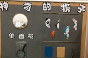 幼儿园科学区墙面玩具图片6张